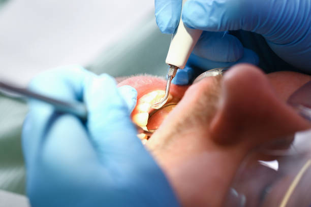 Best Urgent Dental Care  in Wamego, KS